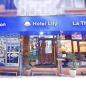 Hotel Lily